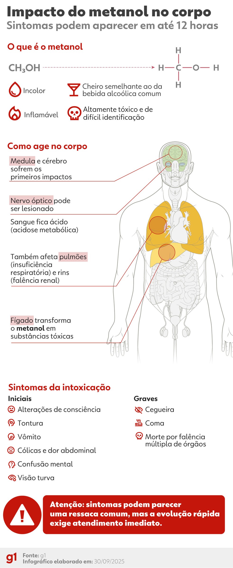 infográfico metanol - vale este — Foto: Arte g1