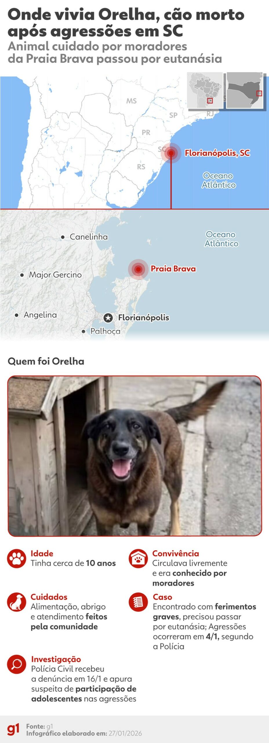 Infográfico - morte do cão Orelha — Foto: Arte g1